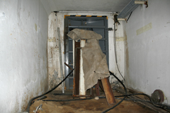 Alt Image Text