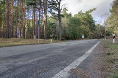 Alt Image Text